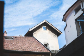 Le Paquier 7 - 2 rooms in the heart of the Old Town 150m from the Lake